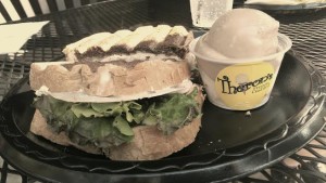 Theron's frozen custard and sandwich